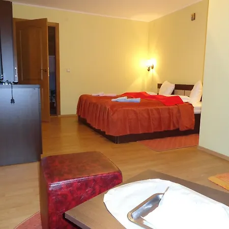 Pensiunea Radu Guest house 3*