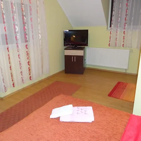 Guest house Pensiunea Radu 3*