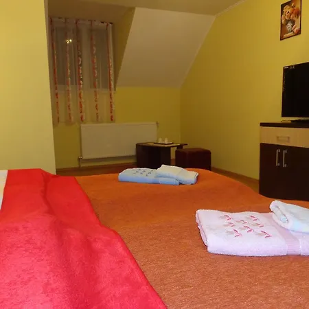 Pensiunea Radu Guest house 3*