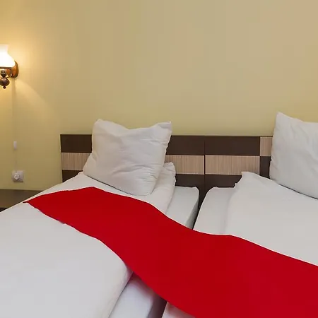 Guest house Pensiunea Radu